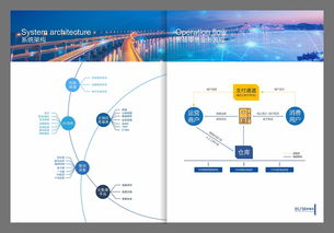 簡約科技·智聯未來 成都IT互聯網零售系統畫冊